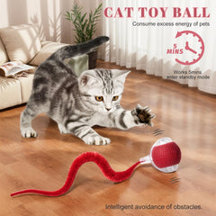 Balle NVTED avec queue pelucheuse: attire rapidement les chats et stimule la chasse.