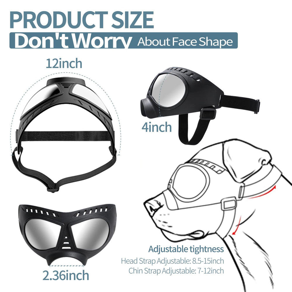 Lunettes NVTED pour chien grand offrent protection UV.