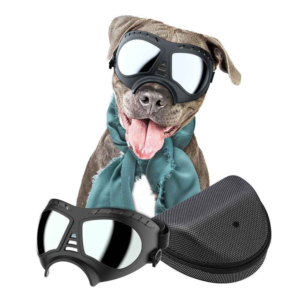 Lunettes NVTED pour chien grand protègent contre vent et neige.