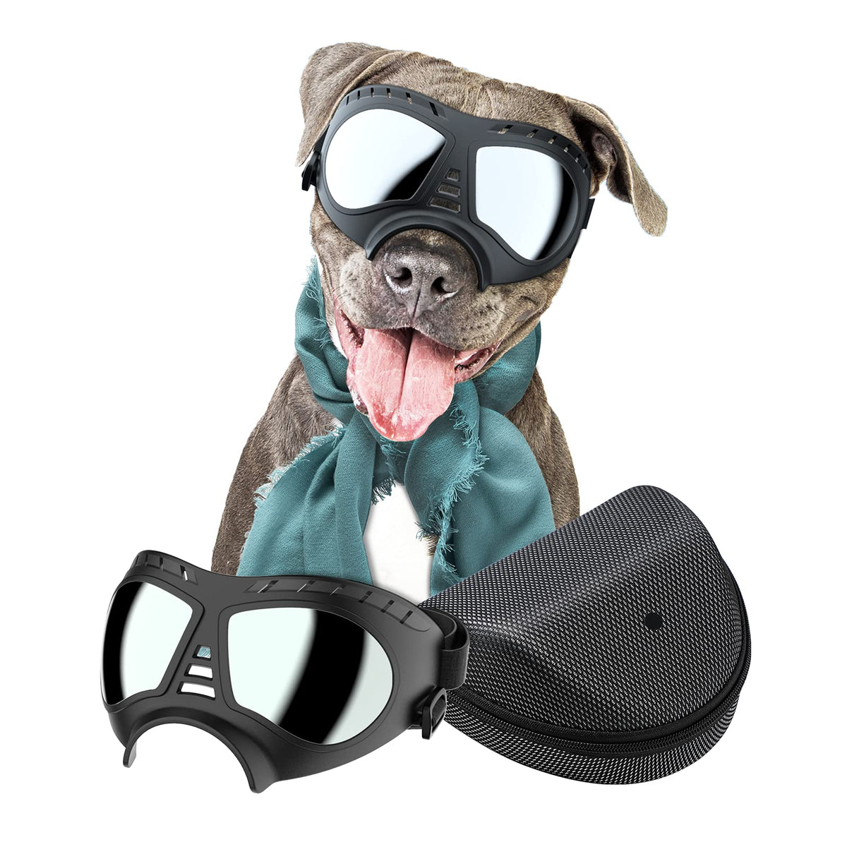Lunettes NVTED pour chien grand protègent contre vent et neige.