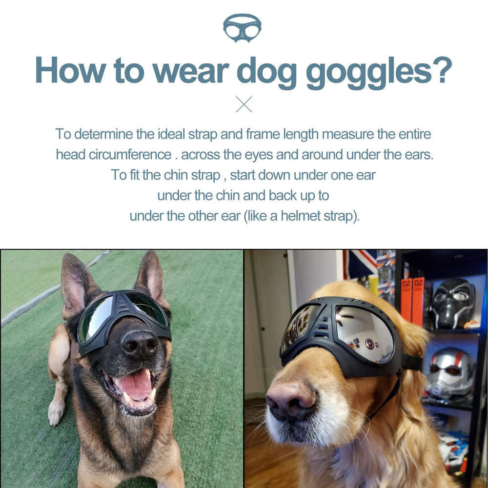 NVTED lunettes chien grand vue ample et confort.