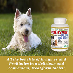 Total-Zymes Plus tablette mâchée, favorise l'absorption des nutriments.