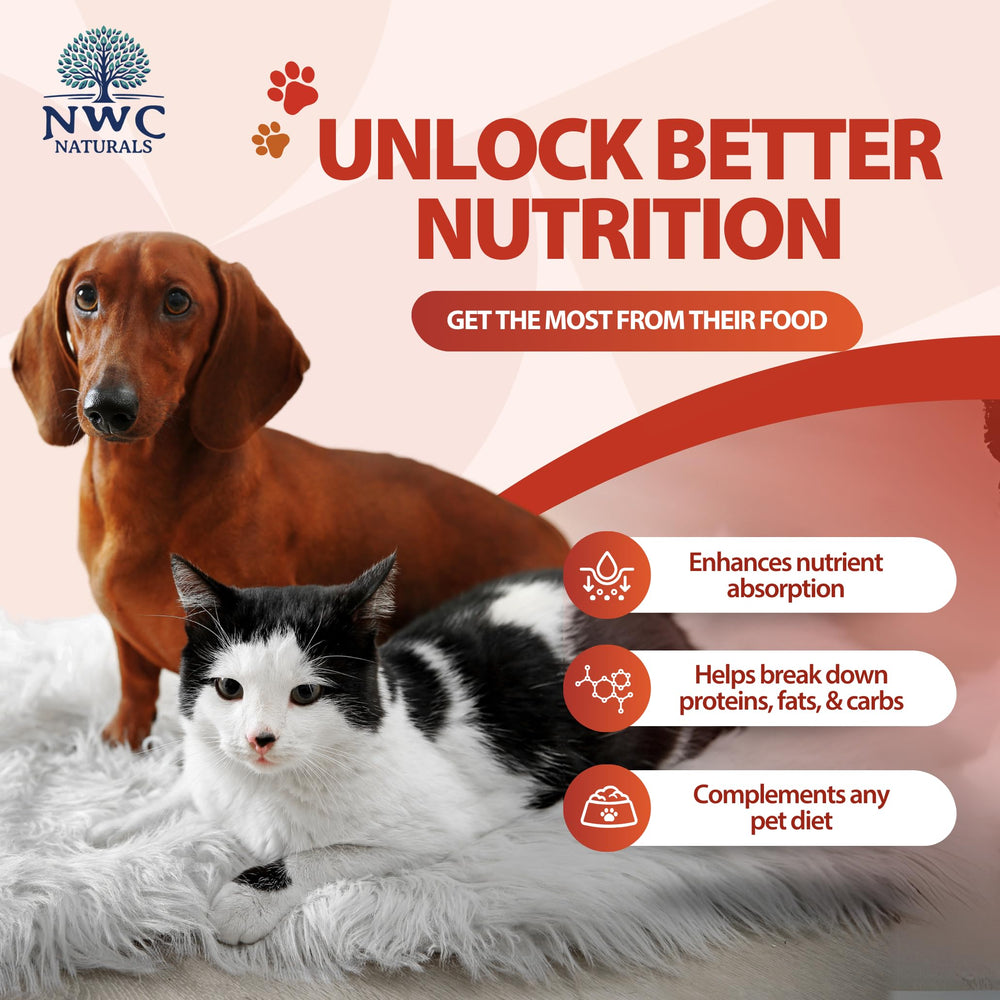 NWC Naturals Total-Zymes enzymesVegetales pour décomposer protéines, graisses et glucides