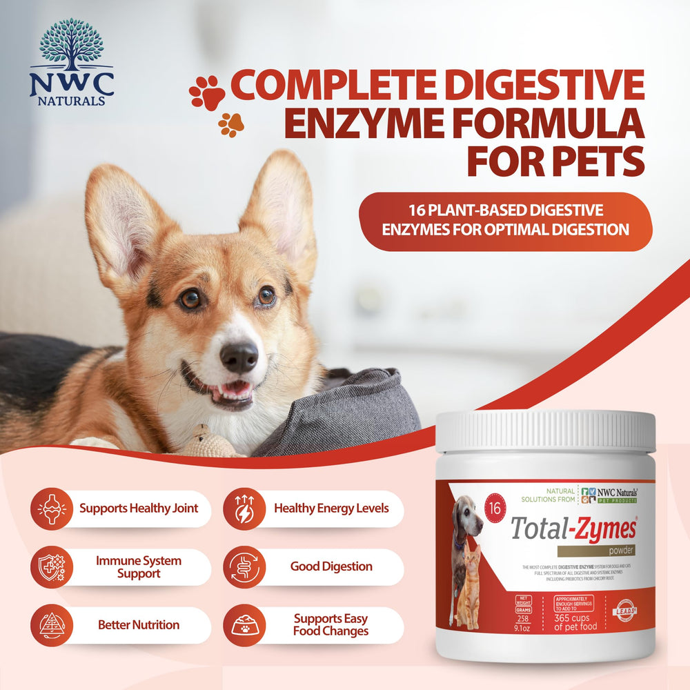 NWC Naturals Total-Zymes avec prébiotiques pour soutenir la digestion et le microbiote