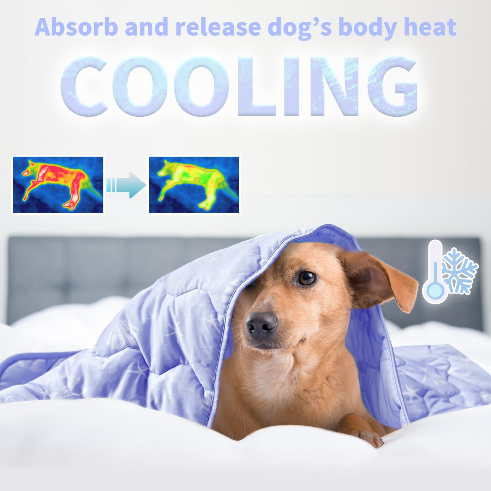 NWK couverture refroidissante pour chien sur lit, repos frais.