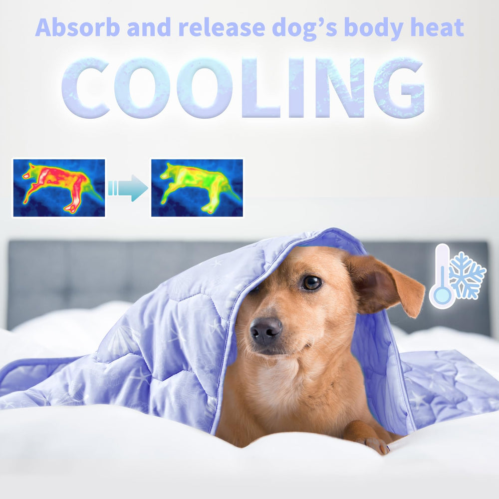 NWK couverture refroidissante pour chien sur lit, repos frais.