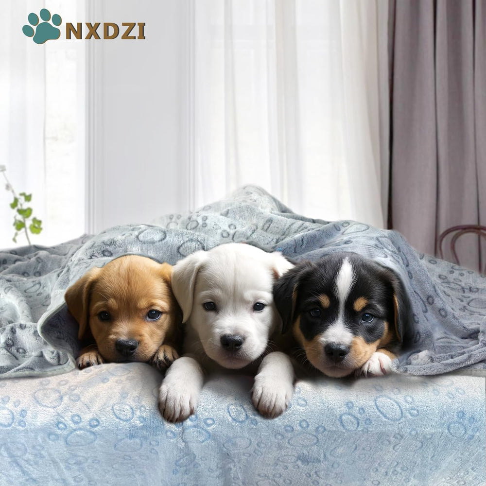 Couverture NXDZI chien douce et lavable après jeu.