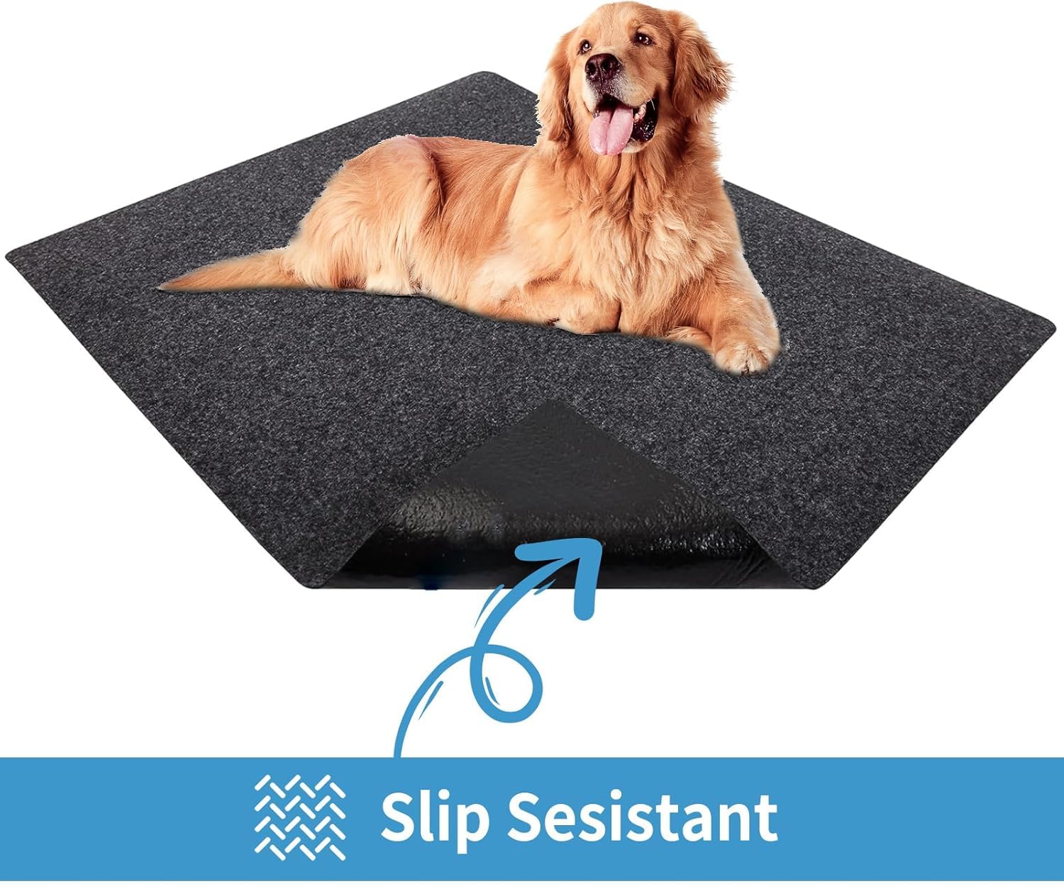NYFITY Tapis lavable, entretien facile après les repas des chiens.