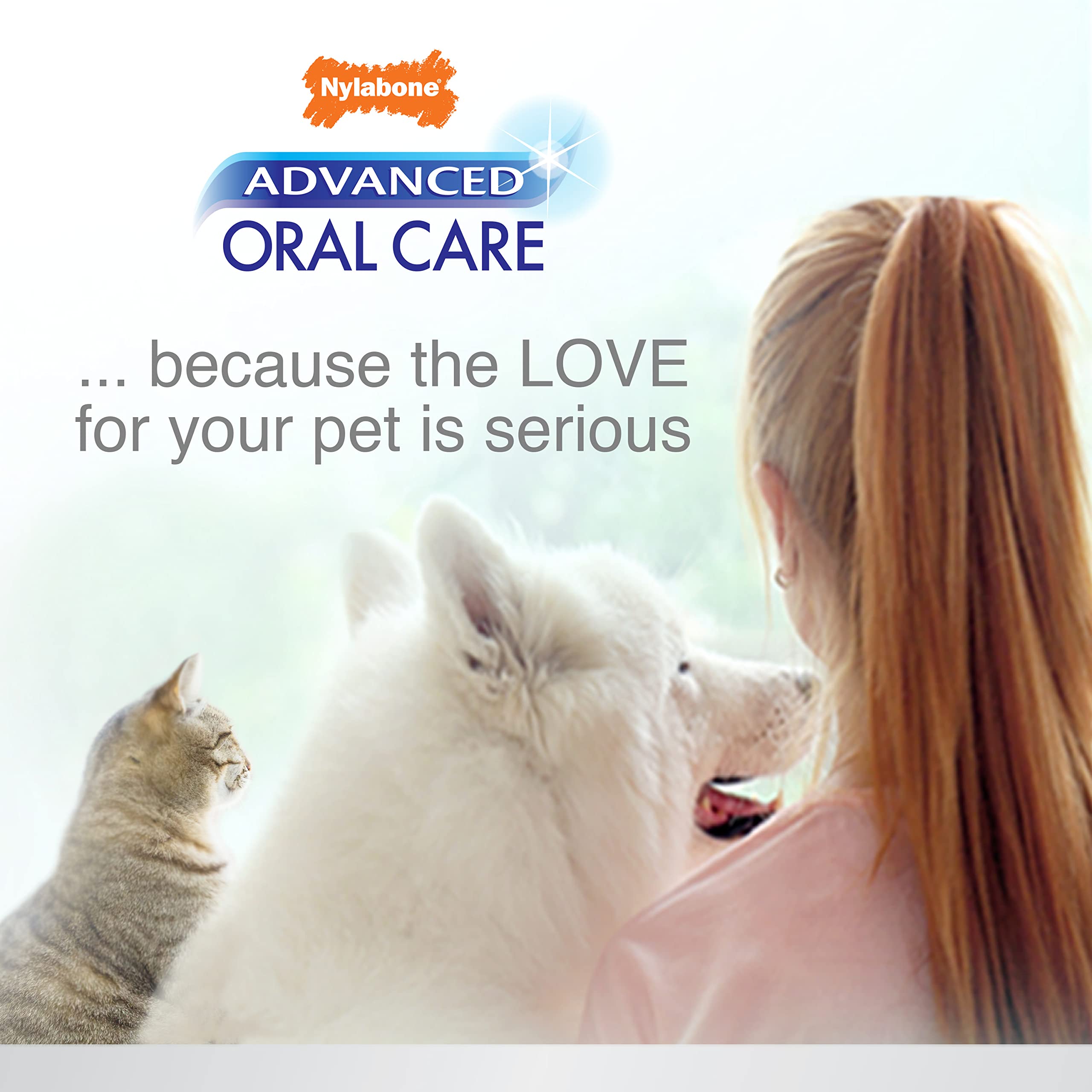 Nylabone Brosse-Bouche Chat: accessoire ciblé pour nettoyer les espaces inter-dents.
