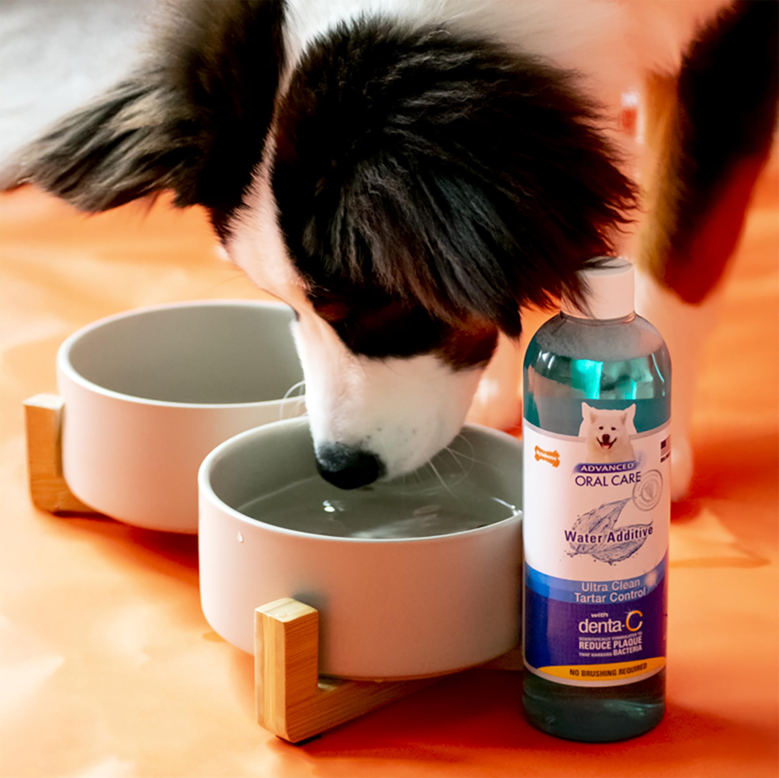 Nylabone Advanced Oral Care — cuillere-doseuse, dosage simple pour l'hygiène dentaire canine.