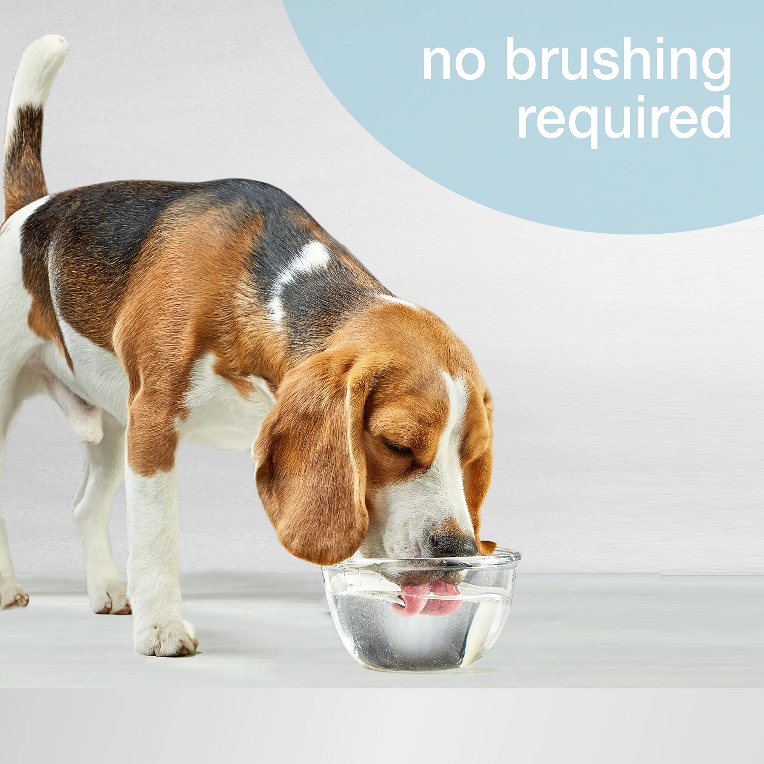Nylabone Advanced Oral Care — Denta-C Formule, aide potentielle à réduire la plaque.