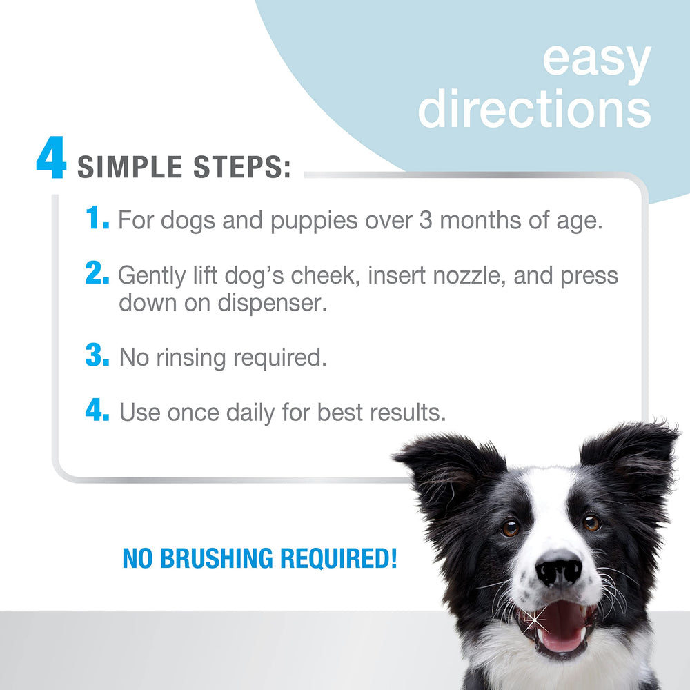 Nylabone Advanced Oral Care – doseur en action pour application sans brossage