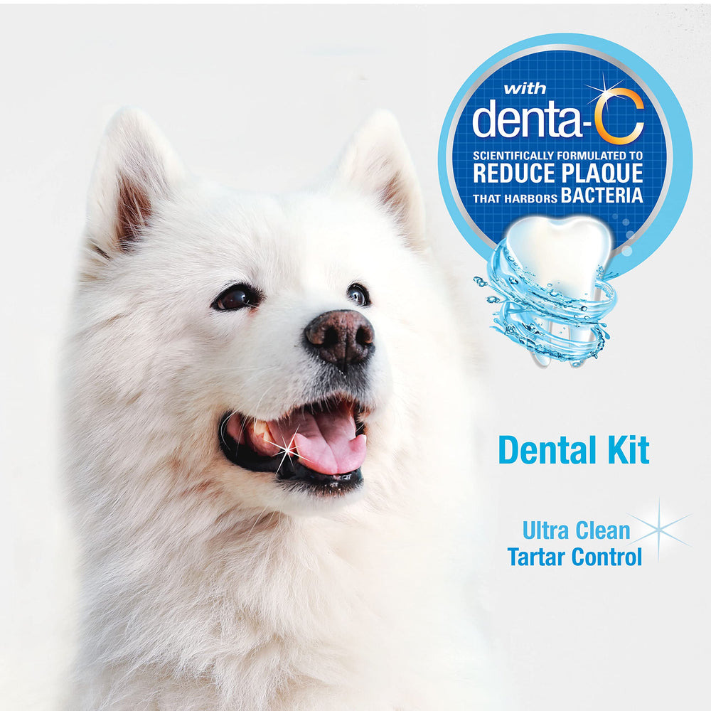 Nylabone Kit hygiène bucco-dentaire : ensemble complet prêt à l'emploi.