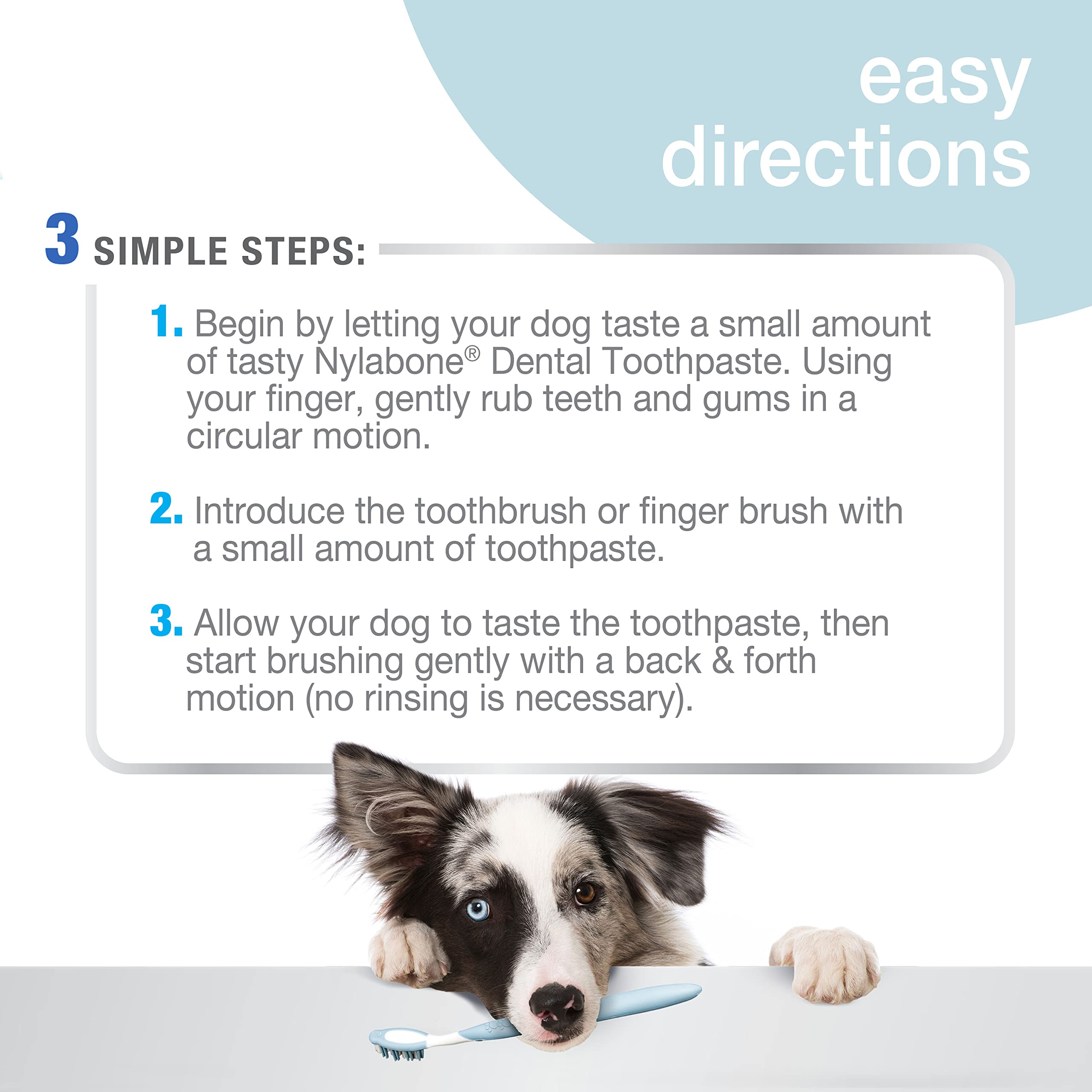 Nylabone Kit hygiène bucco-dentaire : tube dentifrice 2,5 oz.