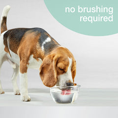 Nylabone Advanced Oral Care — flacon présente menthe fraîche pour une routine agréable