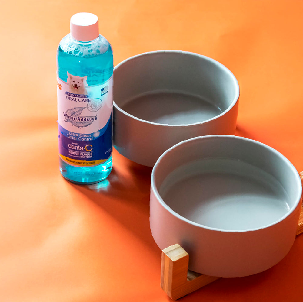 Nylabone Advanced Oral Care — recommandé par des vétérinaires pour le soin dentaire
