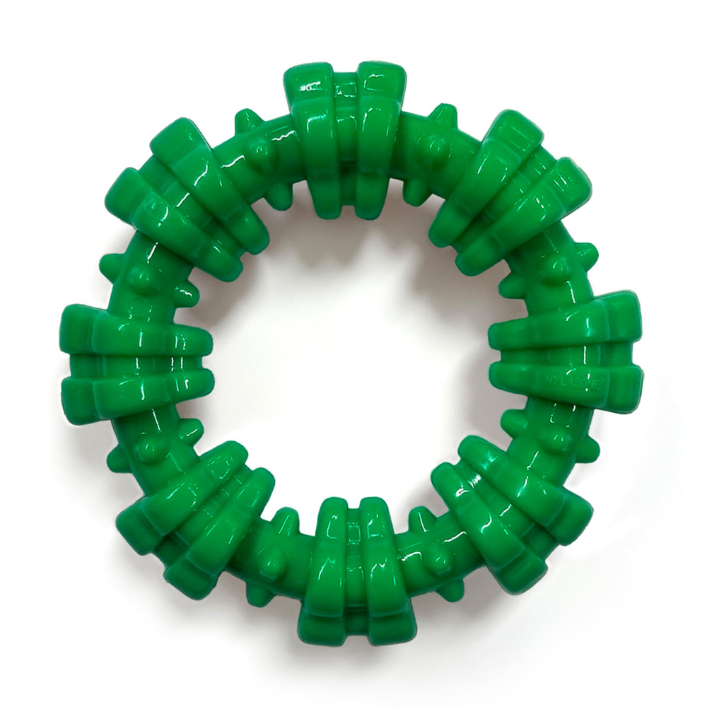 Nylabone Anneau Texturé – stimulation de la mastication et nettoyage dentaire.
