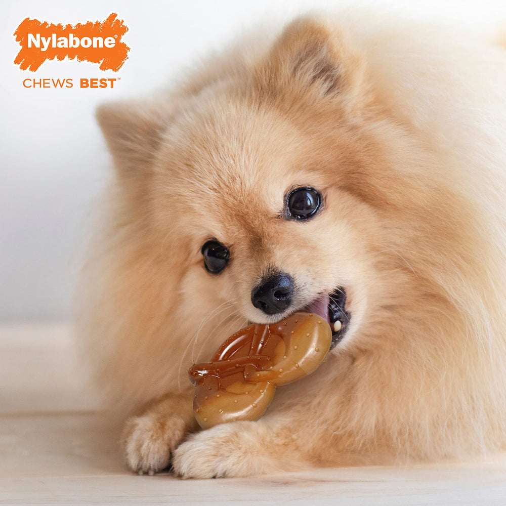 Nylabone arc ergonomique, prise facile pendant la mastication