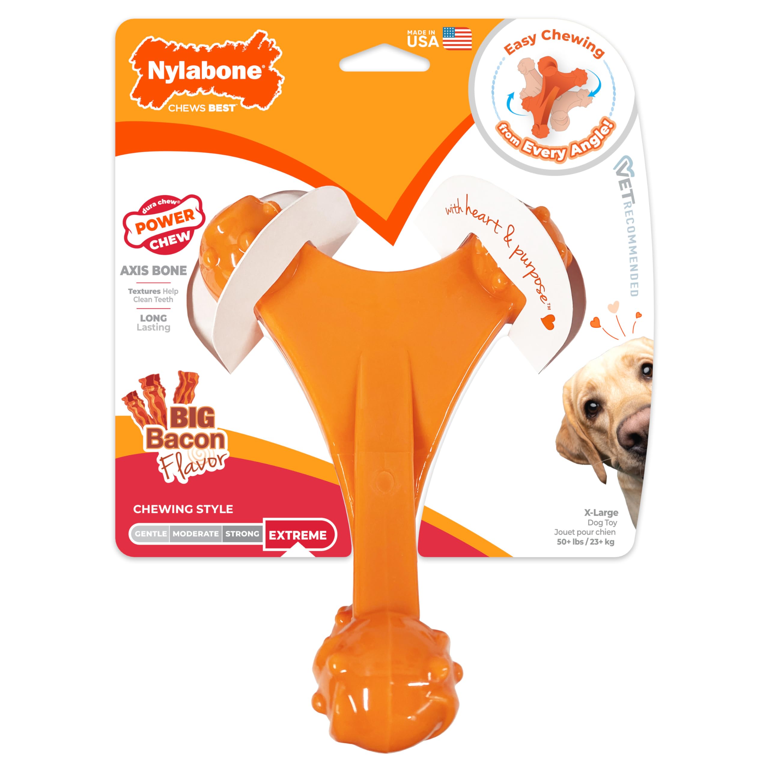 Nylabone Axis Bone – chien occupé et heureux pendant le jeu