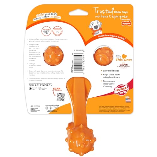 Nylabone Axis Bone – jouet de mastication interactif pour chiens actifs