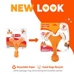 Nylabone Axis Bone – nylon durable pour mâcheurs puissants