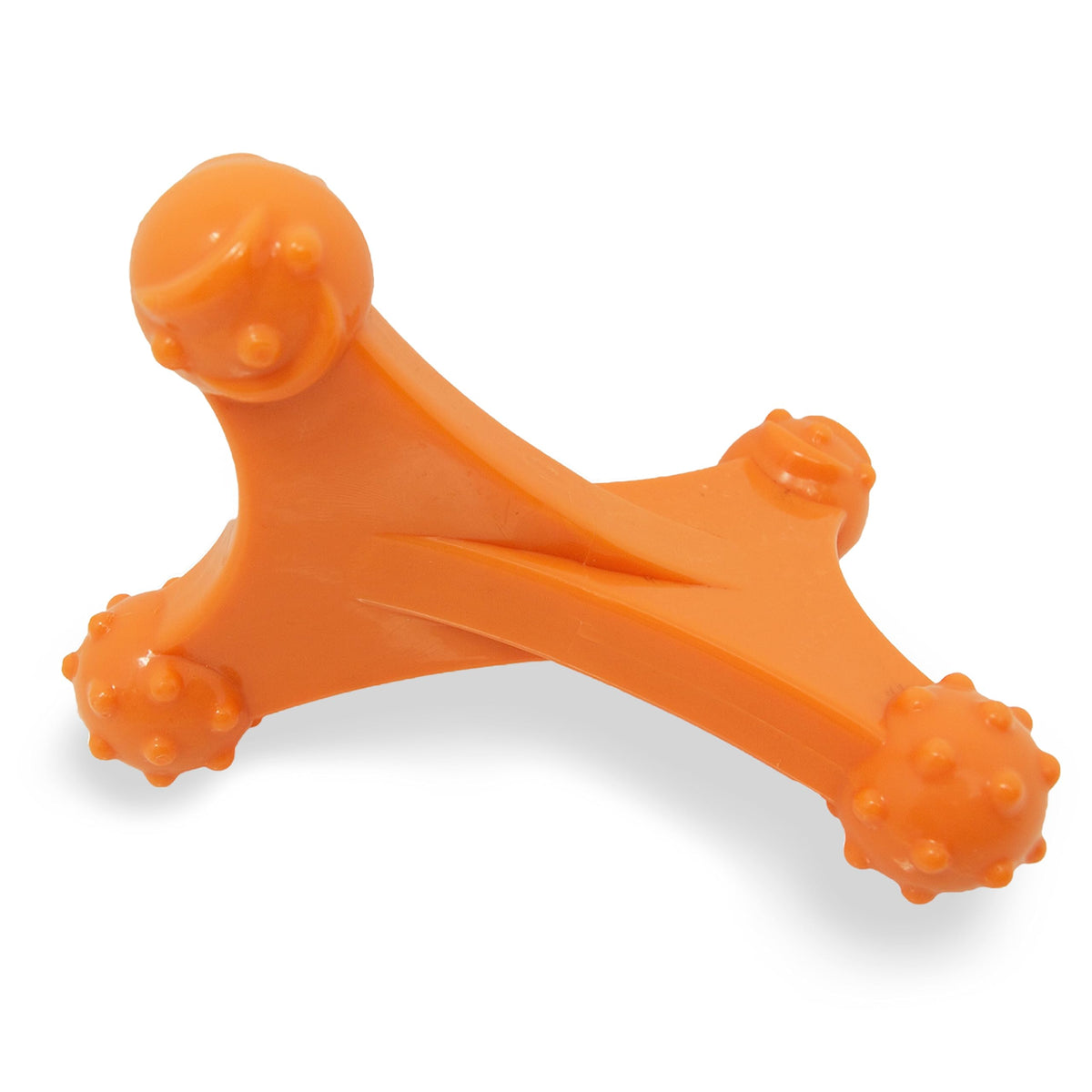 Nylabone Axis Bone, extrémités texturées pour mâcher polyvalente et agréable
