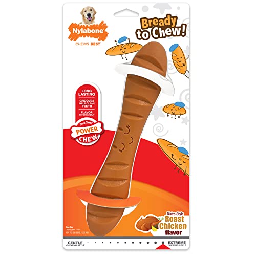 Nylabone Baguette Power Chew, arôme poulet grillé pour motivation au jeu