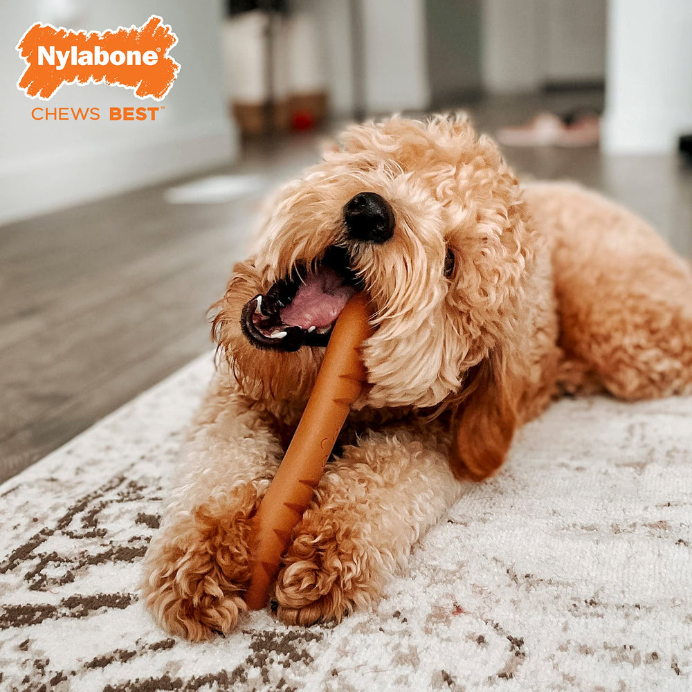 Nylabone Baguette Power Chew, stimulation mentale pendant la mastication