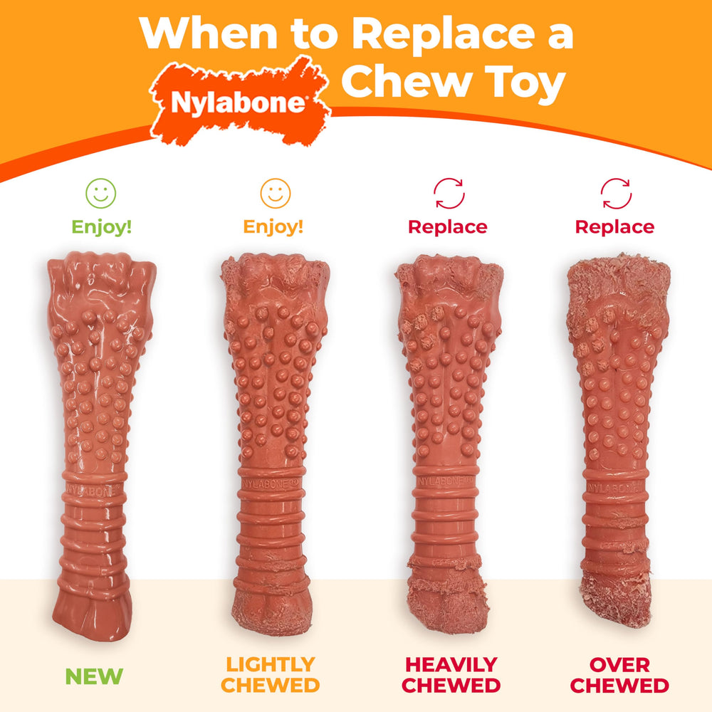 Nylabone Barbell Habitudes Mastication Saines – incite des habitudes de mastication saines.