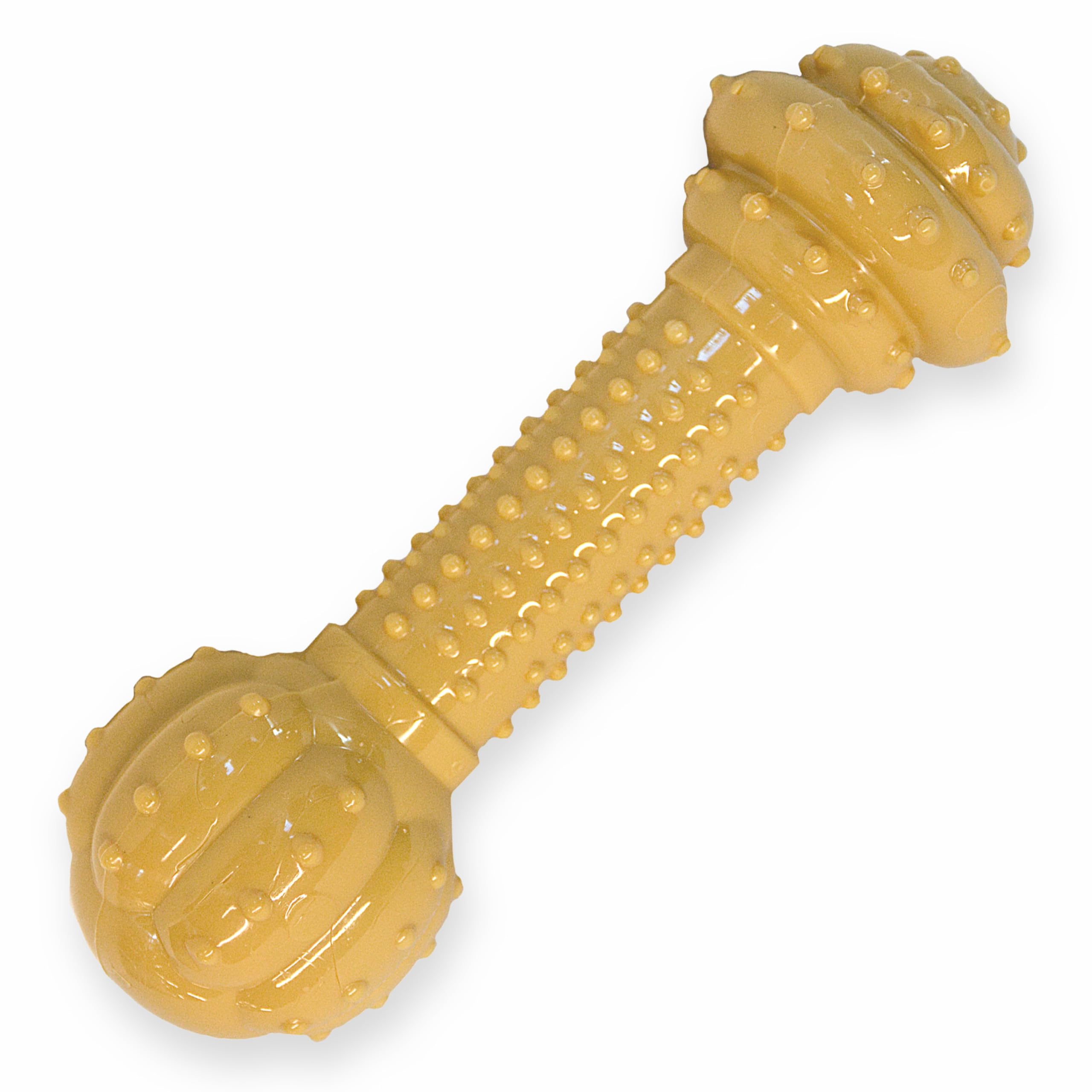Nylabone Barbell Os Durable pour chien, favorise la mastication et le nettoyage des dents.
