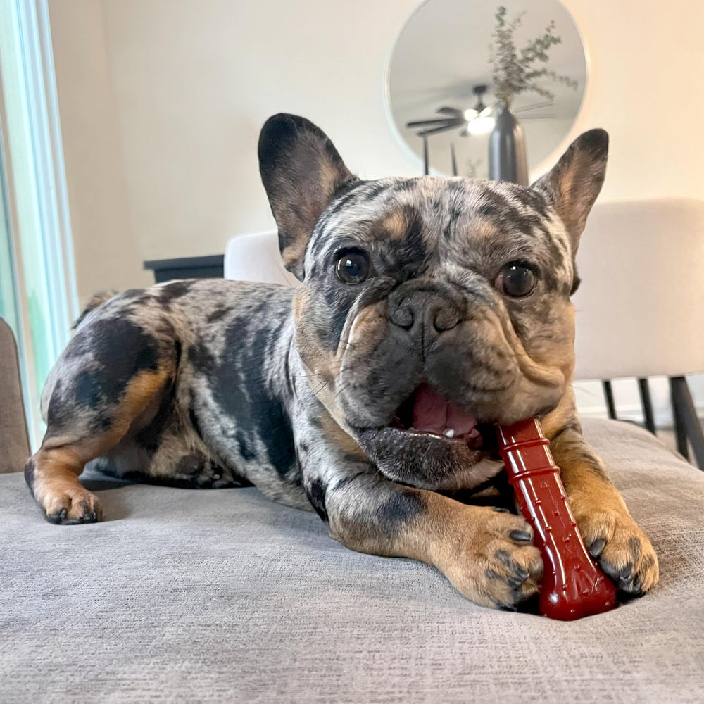 Jouet Nylabone bastage et double saveur pour plus de plaisir.