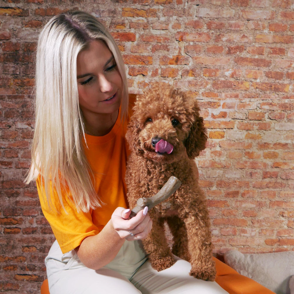 Nylabone bâton gourmet forme unique, expérience de mastication variée