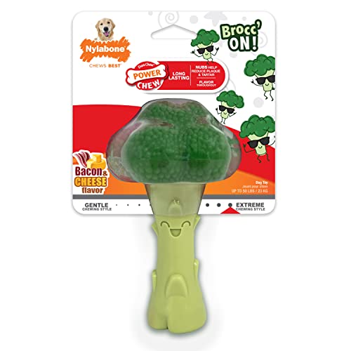Nylabone Brocoli Puissance Mastication: jouet dentaire robuste.