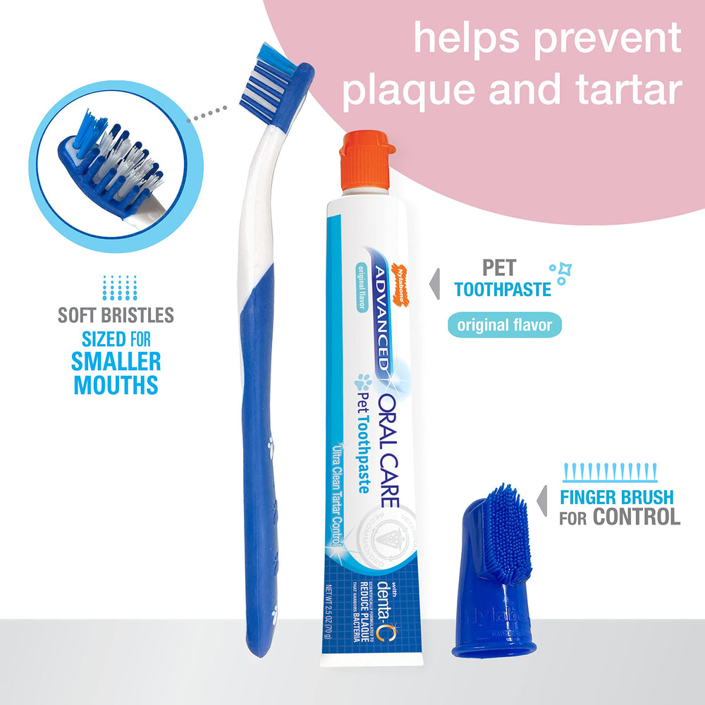 Nylabone brosse dente chiot angle doux – accès facilité aux zones difficiles