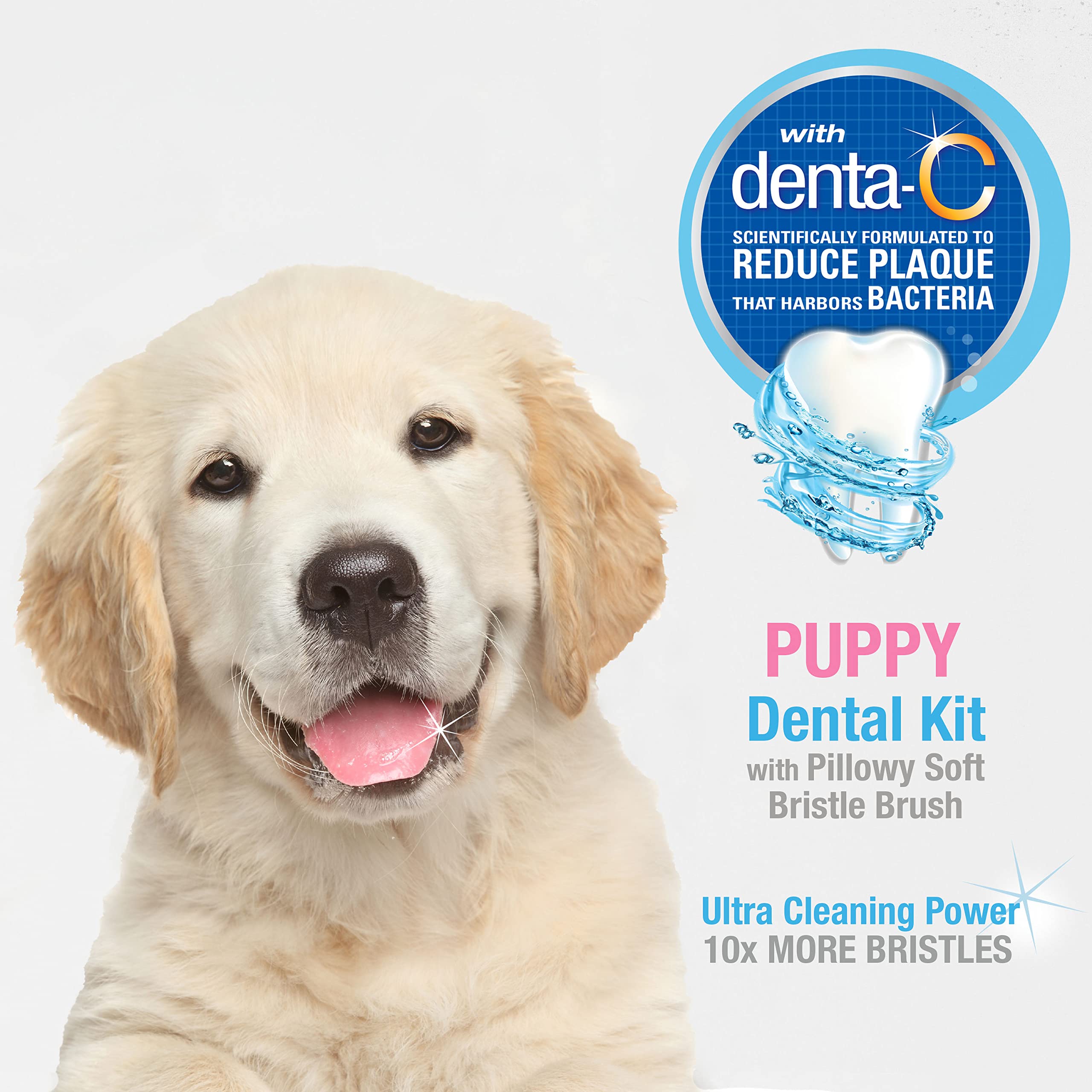 Brosse dentaire Nylabone pour chiot avec netoyeur de langue intégré pour haleine fraîche.