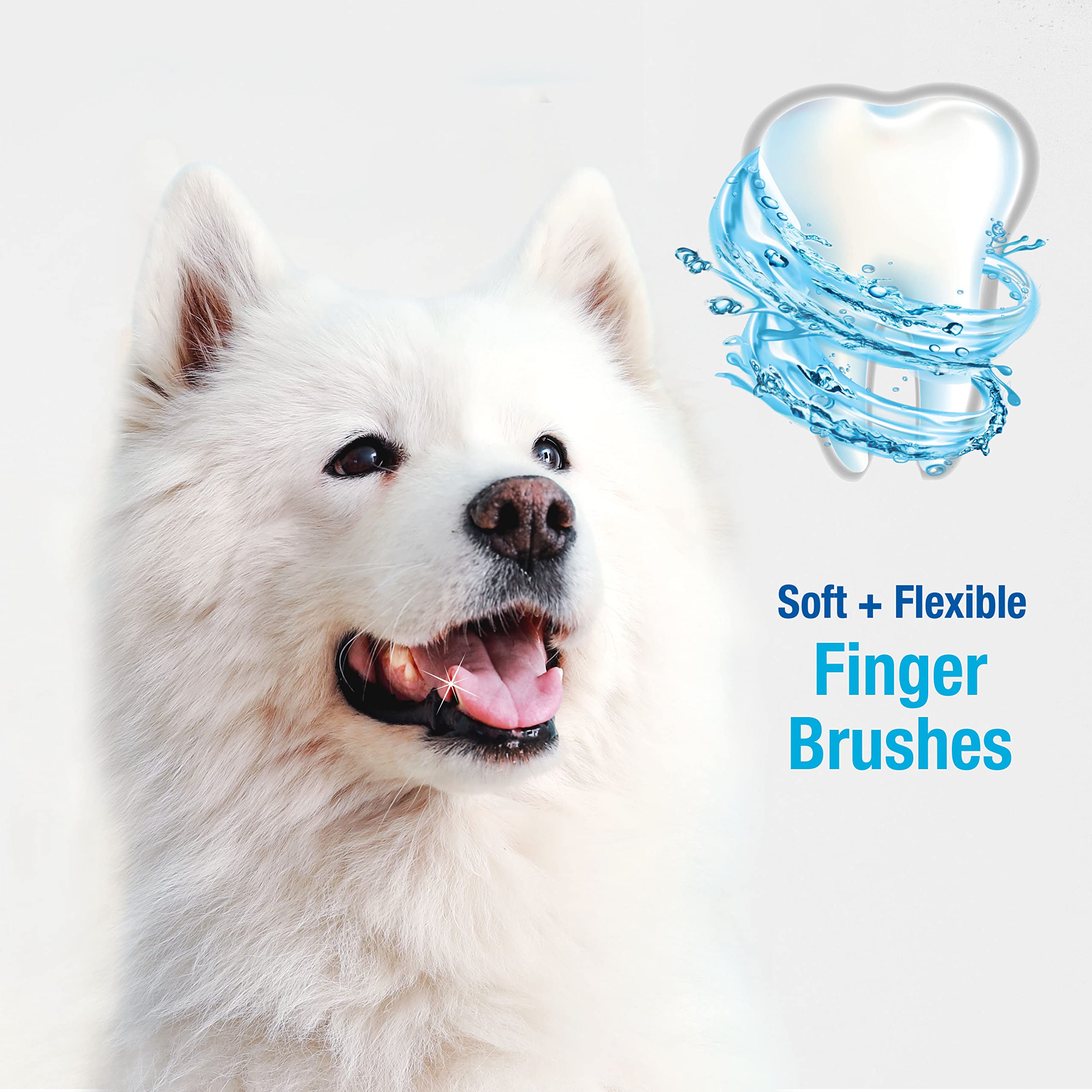 Nylabone brosse doigt dentaire avancée pour chien, utilisé avec dentifrice canin