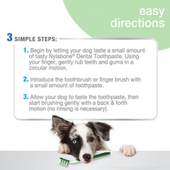 Nylabone brosse doigt dentaire pour chien retire plaque et débris
