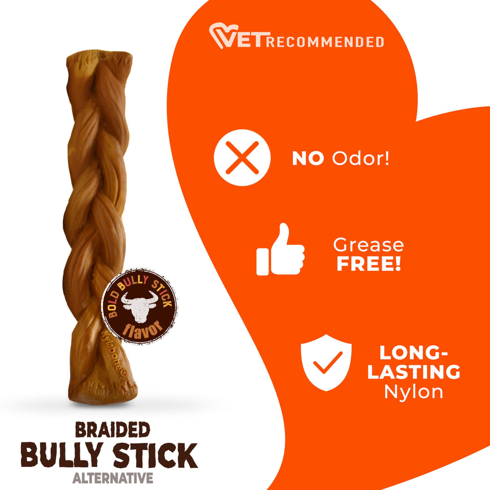 Nylabone bully-stick saveur intense, ventile l’attention du chien.