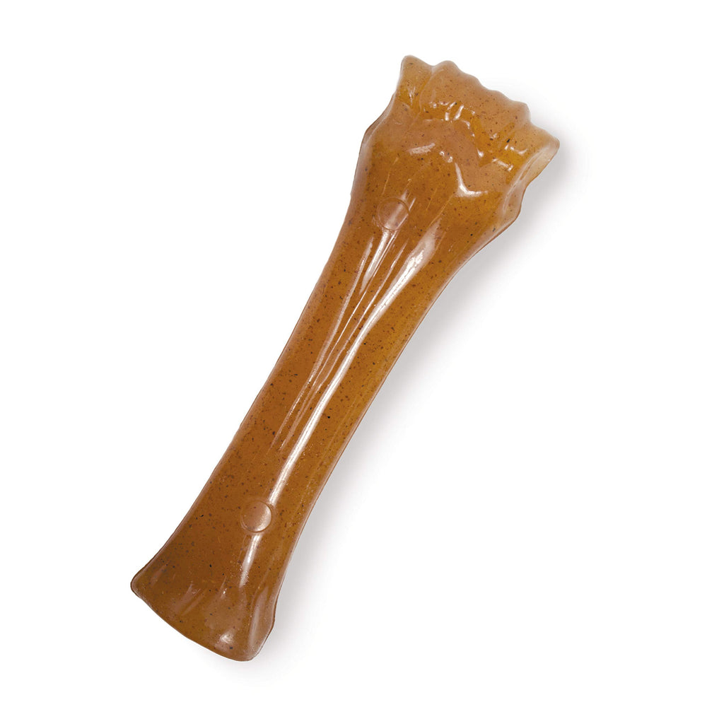 Nylabone chiot – jouet durable pour jeux quotidiens.