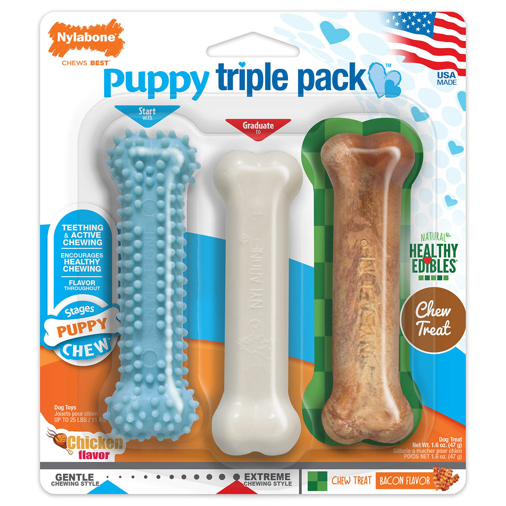nylabone chiot - jouet avec texture bleu, exploration interessante