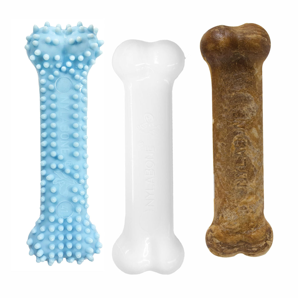 nylabone chiot - jouet dentition bleu, soulage gencives et occupe le chiot