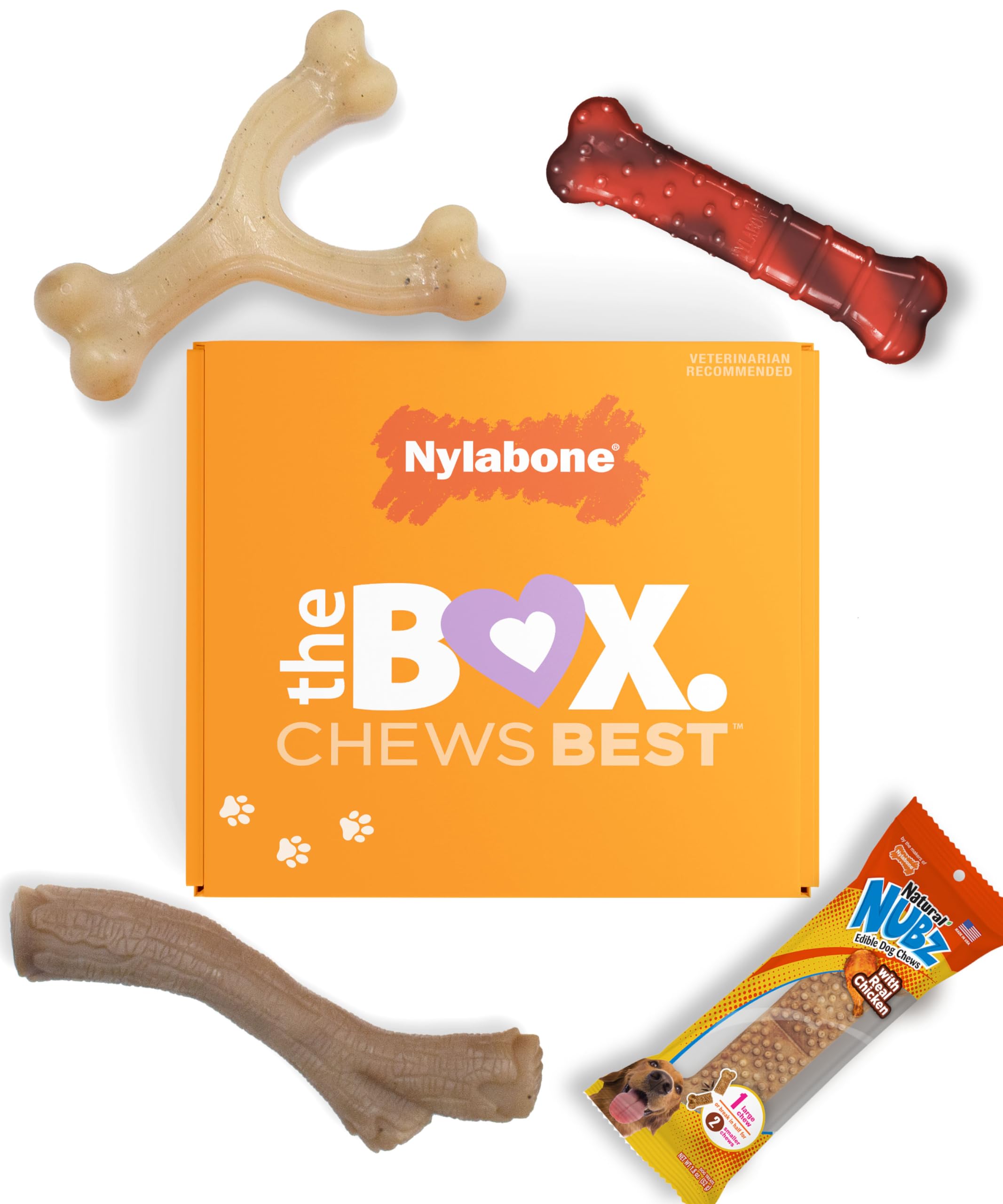 Coffret nylabone: cadeau chien avec 3 jouets à mâcher pour petits chiens.