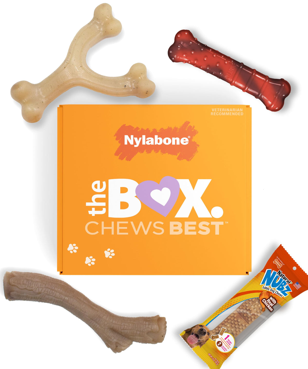 Coffret nylabone: cadeau chien avec 3 jouets à mâcher pour petits chiens.