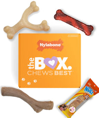 Coffret nylabone: cadeau chien avec 3 jouets à mâcher pour petits chiens.