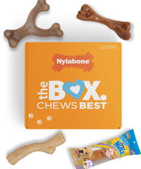 Coffret Nylabone pour chiot, 4 pièces, récompense adaptée aux premières mâchouilles.