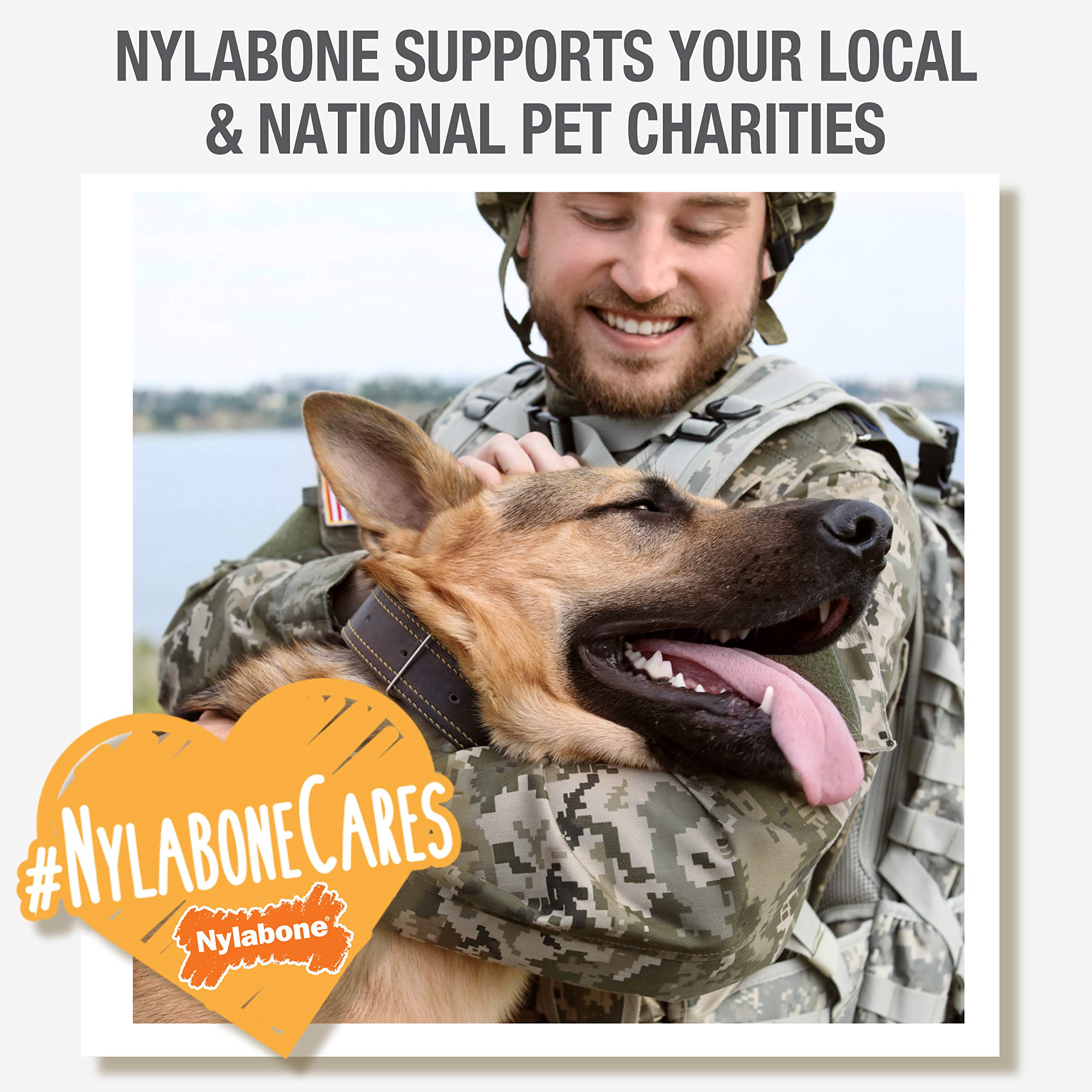 Nylabone Comfort Hold X-Bone, longueur environ 9,5 cm, prise ergonomique.