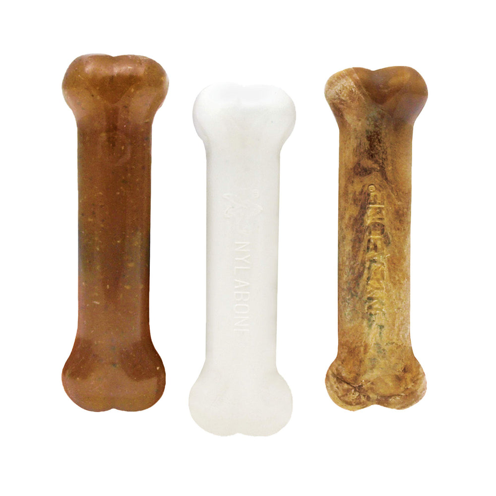 Nylabone conception progressive — textures adaptées à chaque étape.