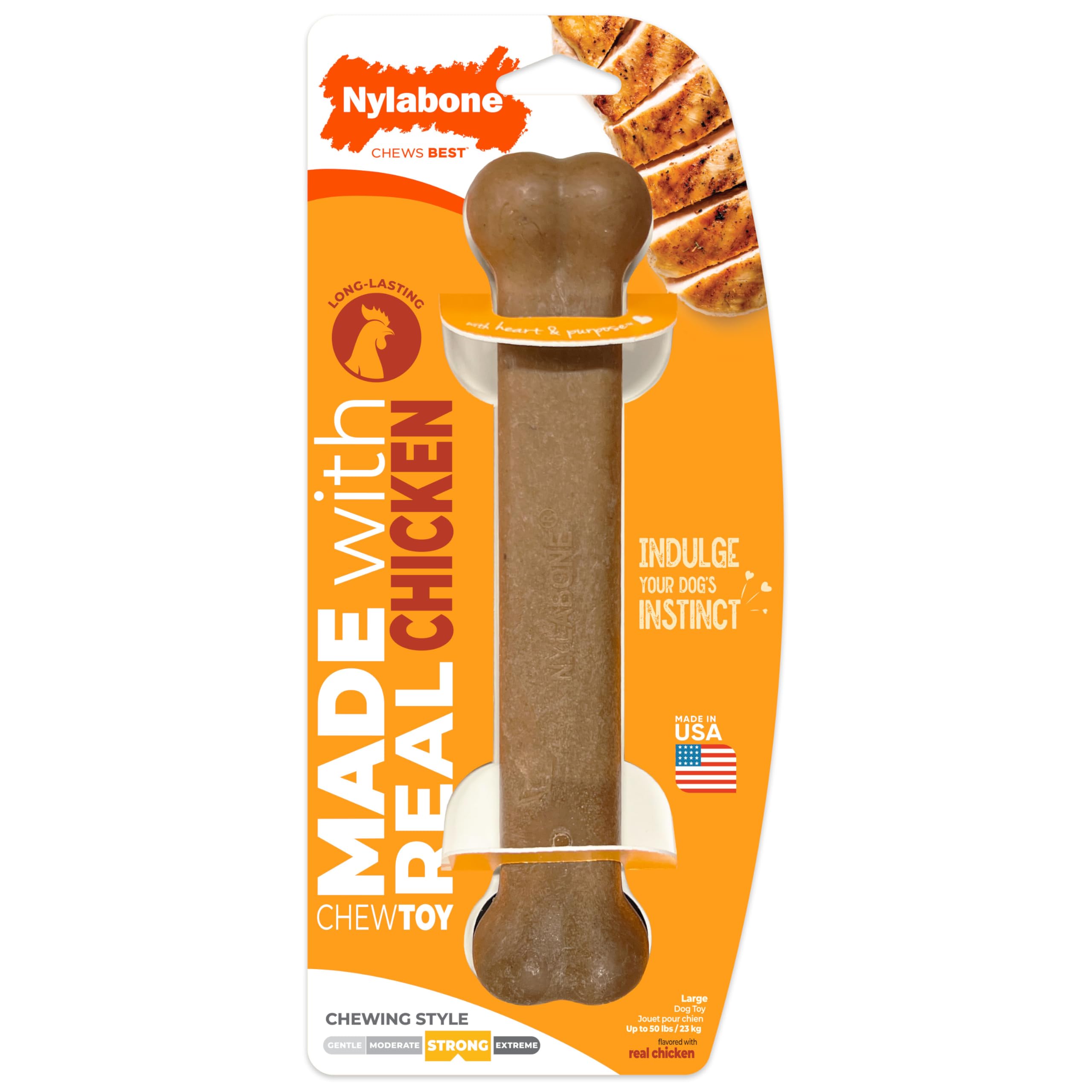 Nylabone Utilisation quotidienne – conseils simples pour des sessions sûres.