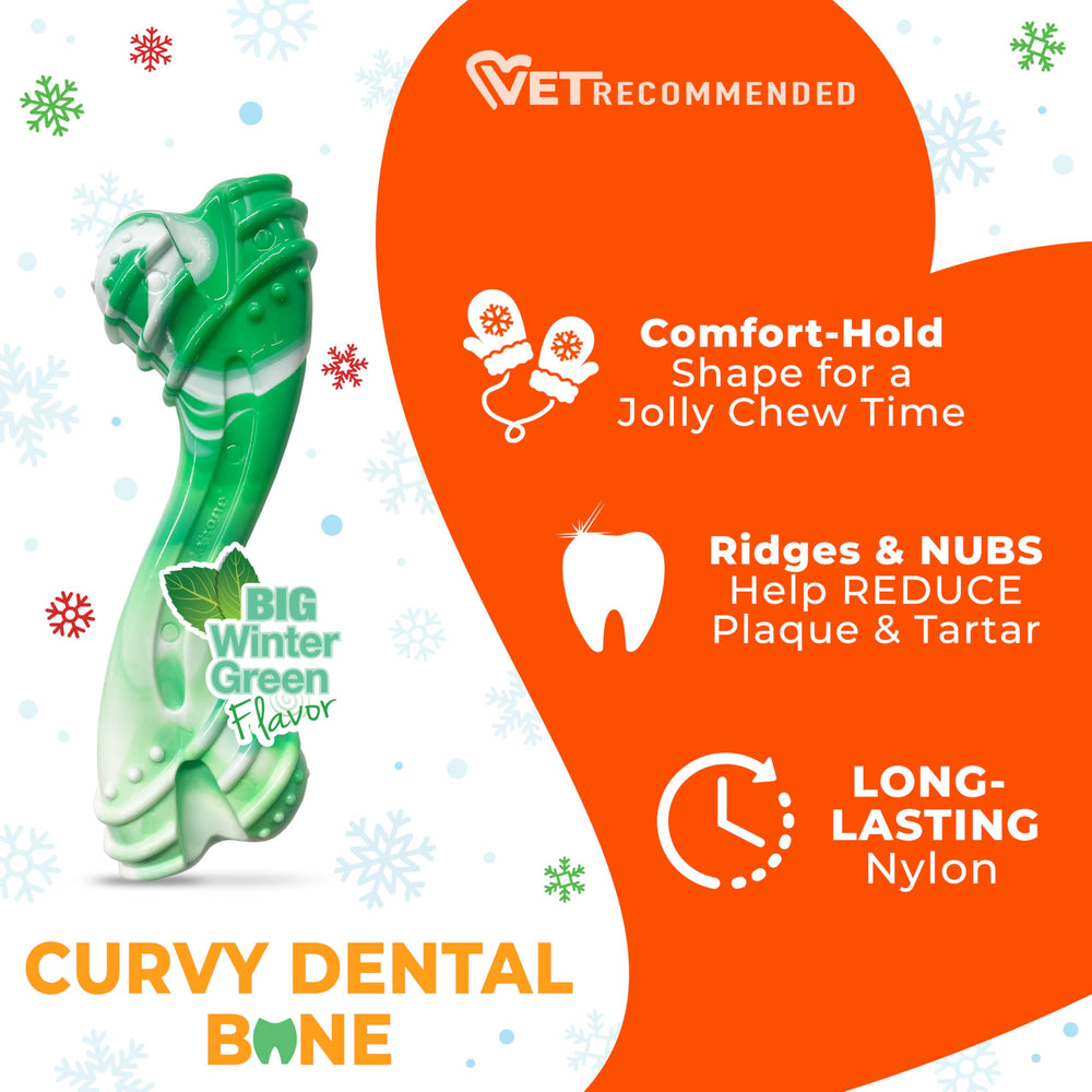 Nylabone Curvy manche pratique pour gros chien, prise facile.