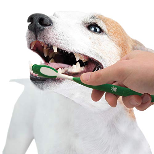 Nylabone démonstration kit soin dentaire naturel pour chien